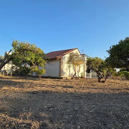 Mika's House - Vacation *